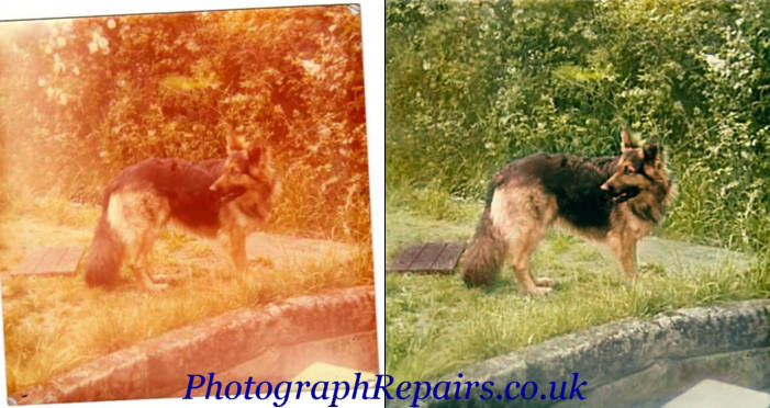 Shows restoration of a photo which had developed an orange coloured cast.